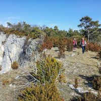 Randonnée le long de la crête du lieu-dit de Serre Cocu Randonnée dans le Vercors