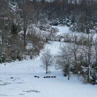 Un fidèle club de randonneurs, l'hiver Randonnée dans le Vercors