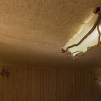 Détail sur nos animaux-lampes à cornes Salle de réunion d'Entre ciel et Pierres