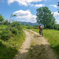 Des chemins variés s'offrent à vous en forêt mais aussi avec de beaux paysages ouverts VTT dans le Vercors