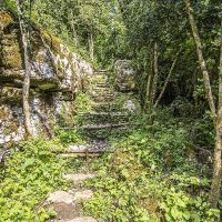 Escalier menant à la cabane de la forêt Escallier en rondins de buis