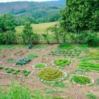 Des petits cailloux pour délimiter les zones à ne pas franchir Le potager d'Entre Ciel et Pierres