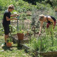 Dom et Adrien dans leurs salades et cie Le jardin potager à Presles