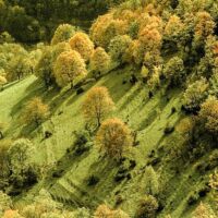 Une vue sur les coteaux de la route de Presles Route de Presles en Vercors
