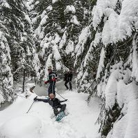 Tous les styles sont permis Balade en raquettes dans le Vercors