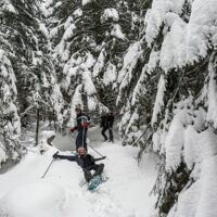 Tous les styles sont permis Balade en raquettes dans le Vercors