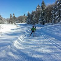 En direction de la Baraque Bonnard Ski de fond dans les Coulmes