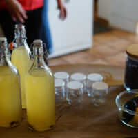 Fabrication d'une boisson au kéfir de fruits