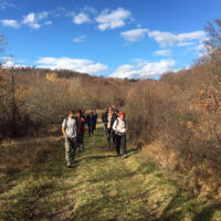 randonnée à la lisière de la forêt des Coulmes