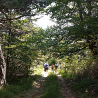 Randonnée en été vers les abords du village de presles