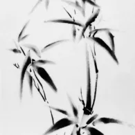 Etincelles de bambou, 2025 Peinture à l'encre, bambou