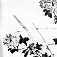 la révérence du chrysanthème, 2024 Peinture à l'encre, chrysanthèmes