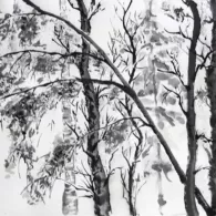 Du jazz dans la forêt, 2025 Peinture à l'encre, forêt