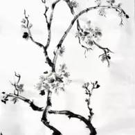 Prunus en fleurs, 2024 peinture à l'encre, prunus